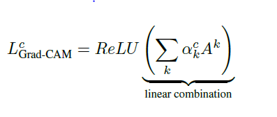 Figure 2. Linear Combination followed by ReLU resulting in final class discriminative map.