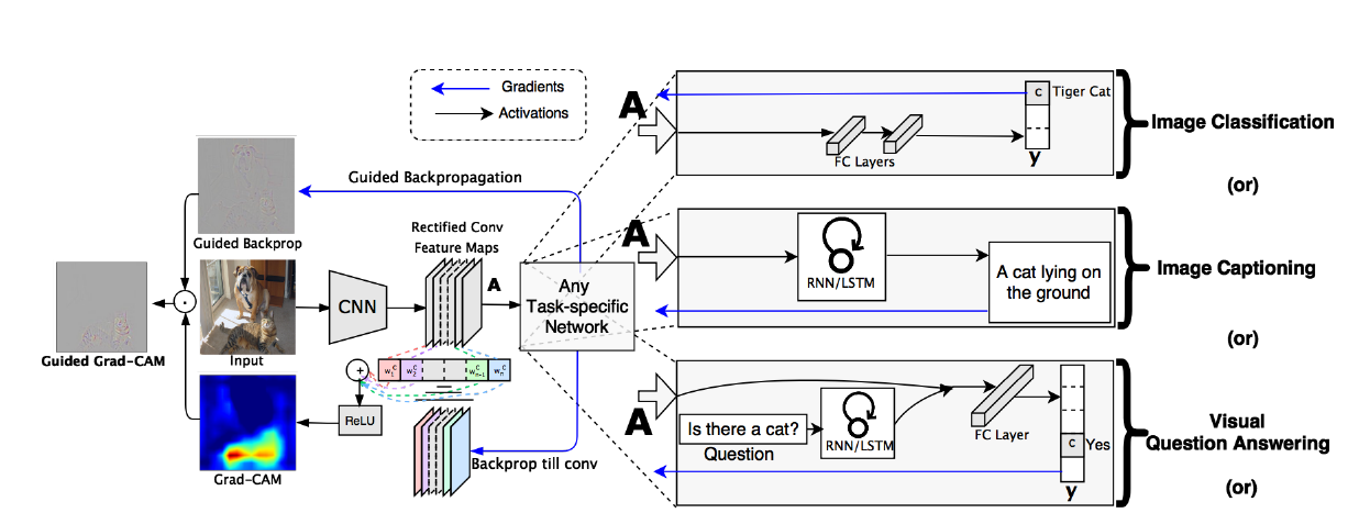 Figure 3.Complete pipeline extending towards specific tasks.