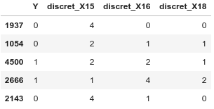 Figure8. Sample of the discretized dataset