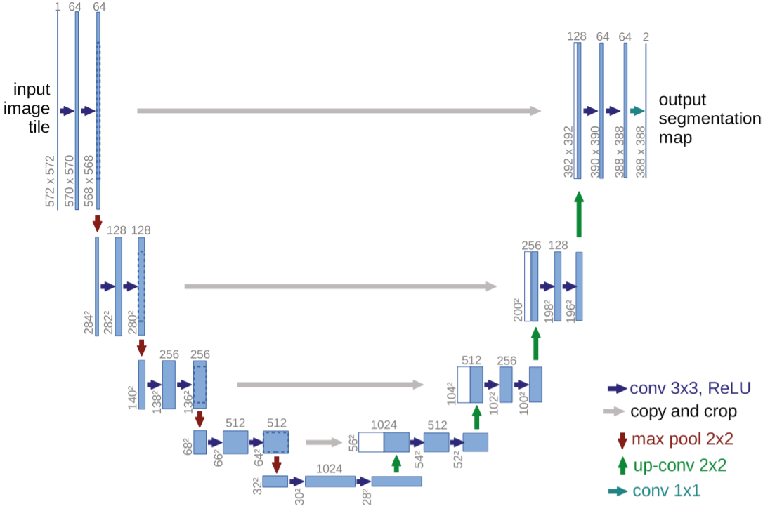 Figure 2. U-Net Architecture, [source](http://O. Ronneberger, P. Fischer, and T. Brox, "LNCS 9351 - U-Net: Convolutional Networks for Biomedical Image Segmentation," 2015, doi: 10.1007/978-3-319-24574-4_28.)