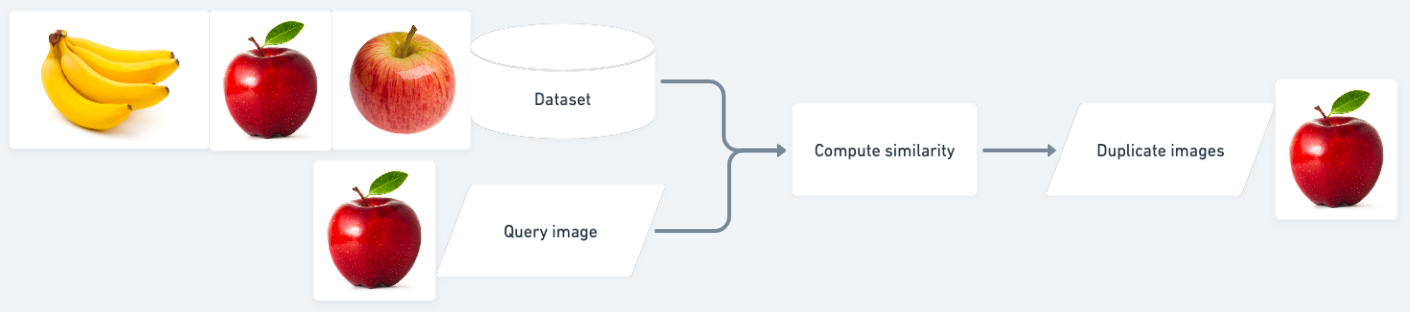 Image 2 - An Example of the Ins and Outs of the Image Duplicate Finder System (image by author)