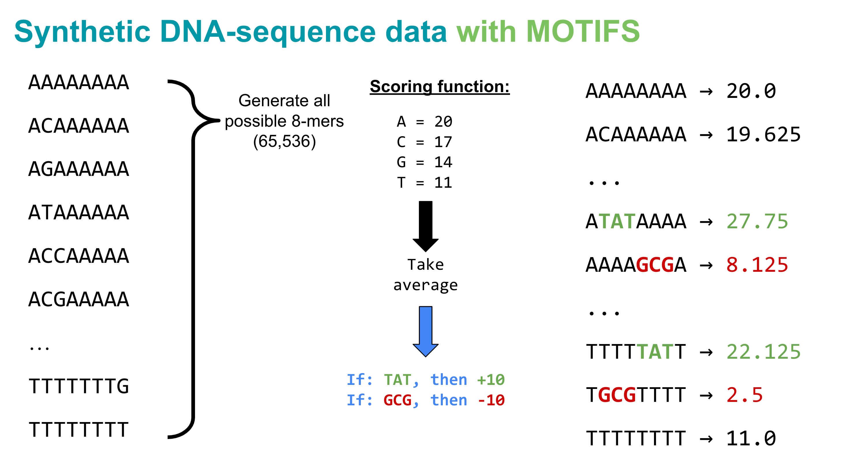 A simple scoring system for 8-mer DNA sequences. Image by author.