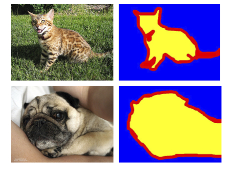 Figure 1: Pet images and their segmentation masks (Source: The Oxford-IIIT Pet Dataset)