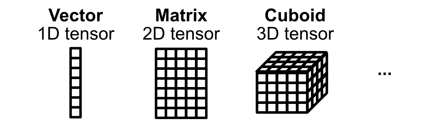 Tensors of various dimensions. In reality, tensors can exist within an infinite number of dimensions. Practically, in AI, they usually only go up to three, sometimes four dimensions.