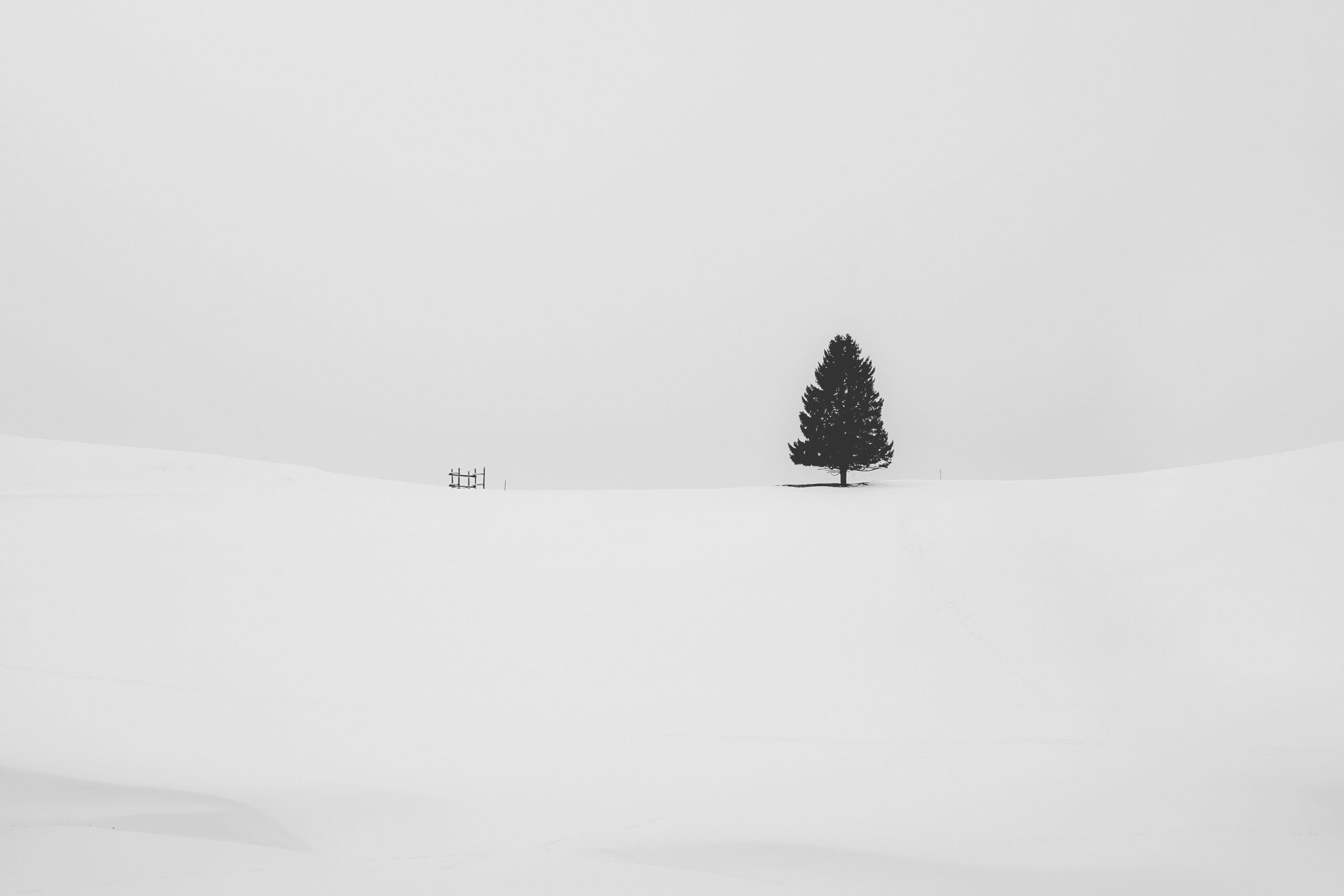 A simple landscape. From Unsplash.