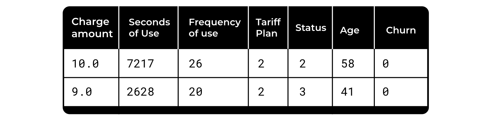 Dataset, image by Author