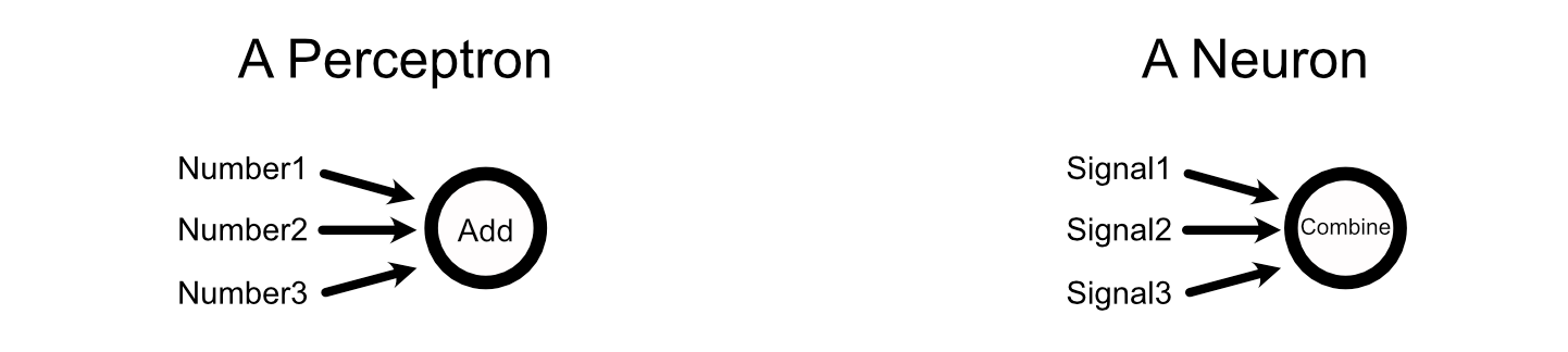Perceptrons aggregate numbers to come up with an output, while neurons aggregate electrochemical signals to come up with an output.