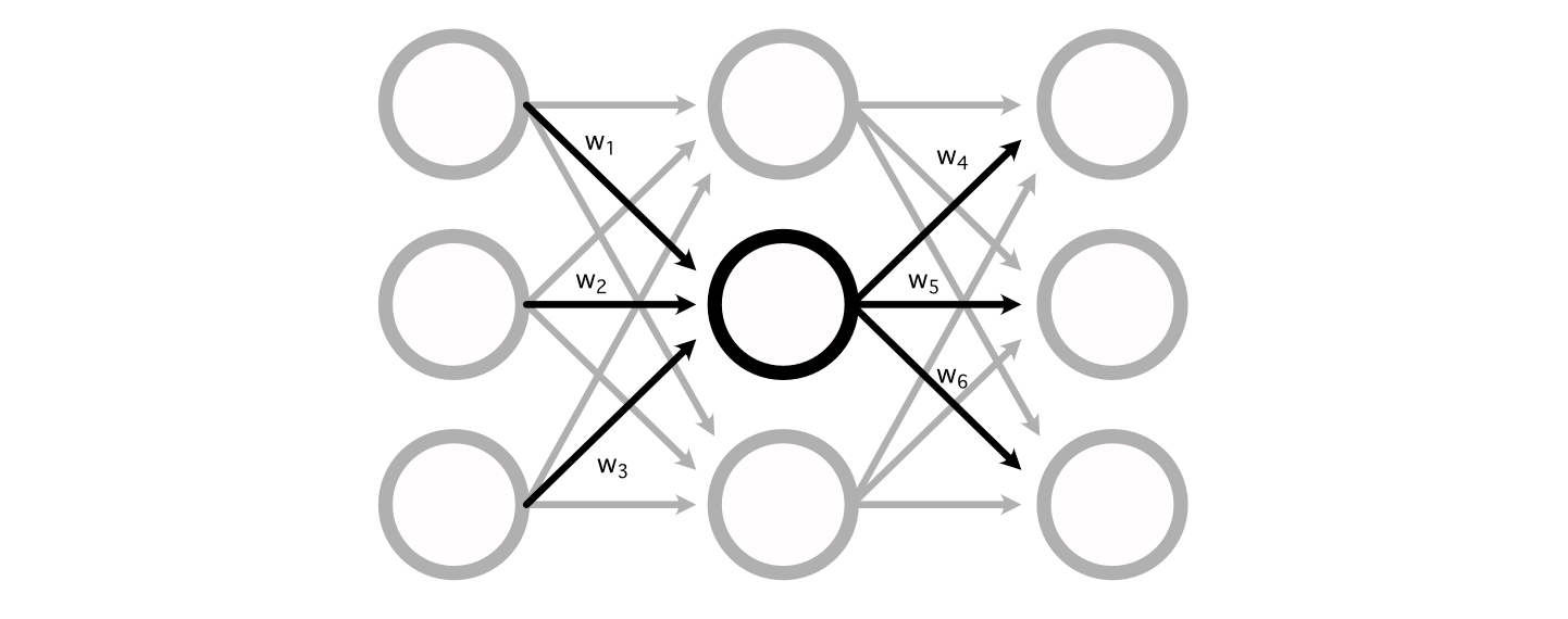 A neural network, with the weights leading into and out of a particular perceptron highlighted.